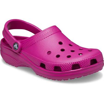 Crocs Klassiska Clog Skor Herr Lila | Sverige 0682YXFU